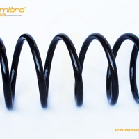 ARC SUSPENSIE FATA LOG./SAND. DCI (L=315MM; D=13.50MM) photo