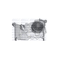 POMPA APA LOG./SAND. 1.6 16V Dolz-R236 photo